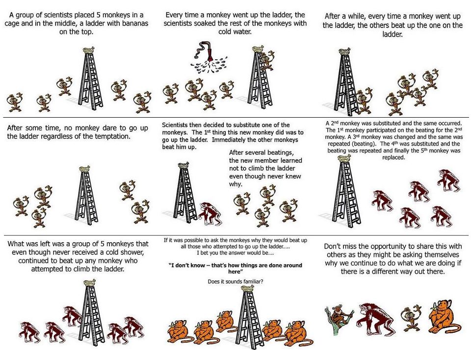 monkey story